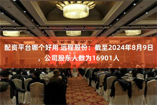 配资平台哪个好用 远程股份：截至2024年8月9日，公司股东人数为16901人