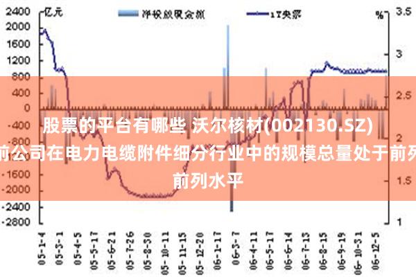 股票的平台有哪些 沃尔核材(002130.SZ)：目前公司在电力电缆附件细分行业中的规模总量处于前列水平