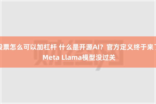 股票怎么可以加杠杆 什么是开源AI？官方定义终于来了 Meta Llama模型没过关