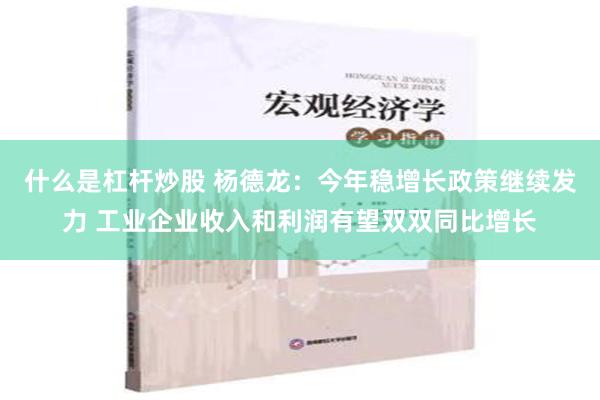 什么是杠杆炒股 杨德龙：今年稳增长政策继续发力 工业企业收入和利润有望双双同比增长