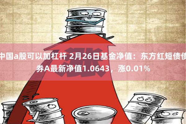 中国a股可以加杠杆 2月26日基金净值：东方红短债债券A最新净值1.0643，涨0.01%